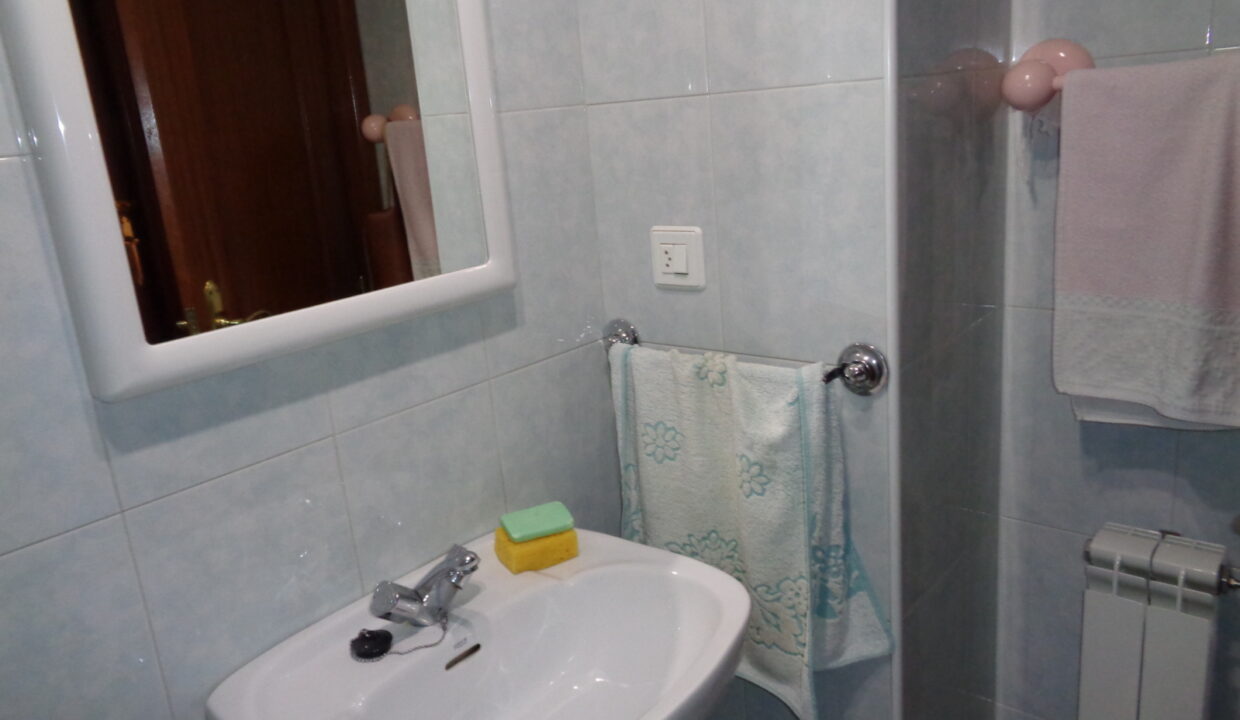 DSC01011 (FILEminimizer)
